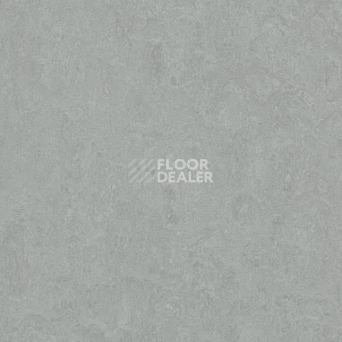 Линолеум Forbo Marmoleum Marbled Fresco 3889-388935 cinder фото 1 | FLOORDEALER